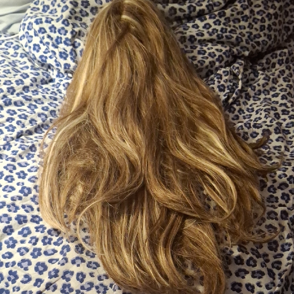 EUC Dark BLONDE wig